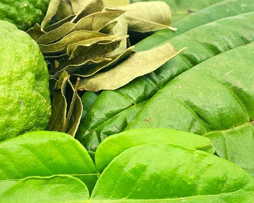 Épices de L'ile de la Réunion